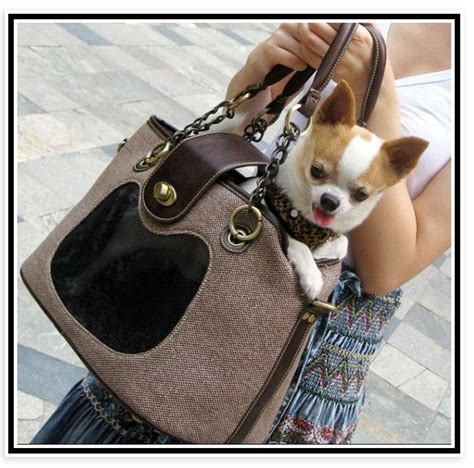 dior dog carrier|best dog carrying purse.